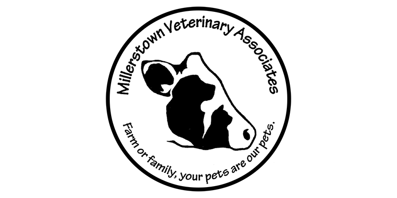 img-Millerstown-Vet.png